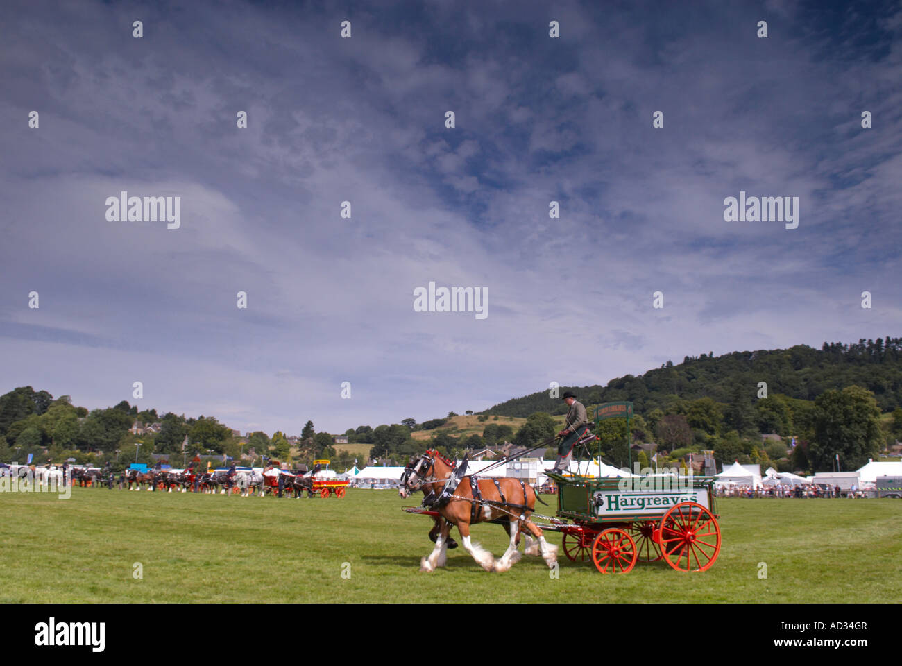 Drayhorses and dray at Bakewell show 2007 in Derbyshire 'Great Britain' Stock Photo