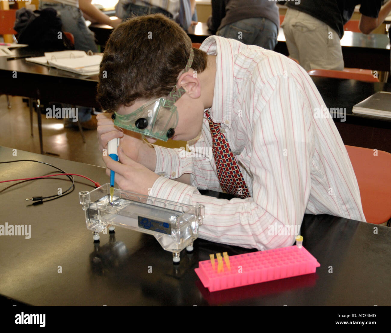 Teenage boy high school student load DNA sample into chamber for DNA experiment Stock Photo