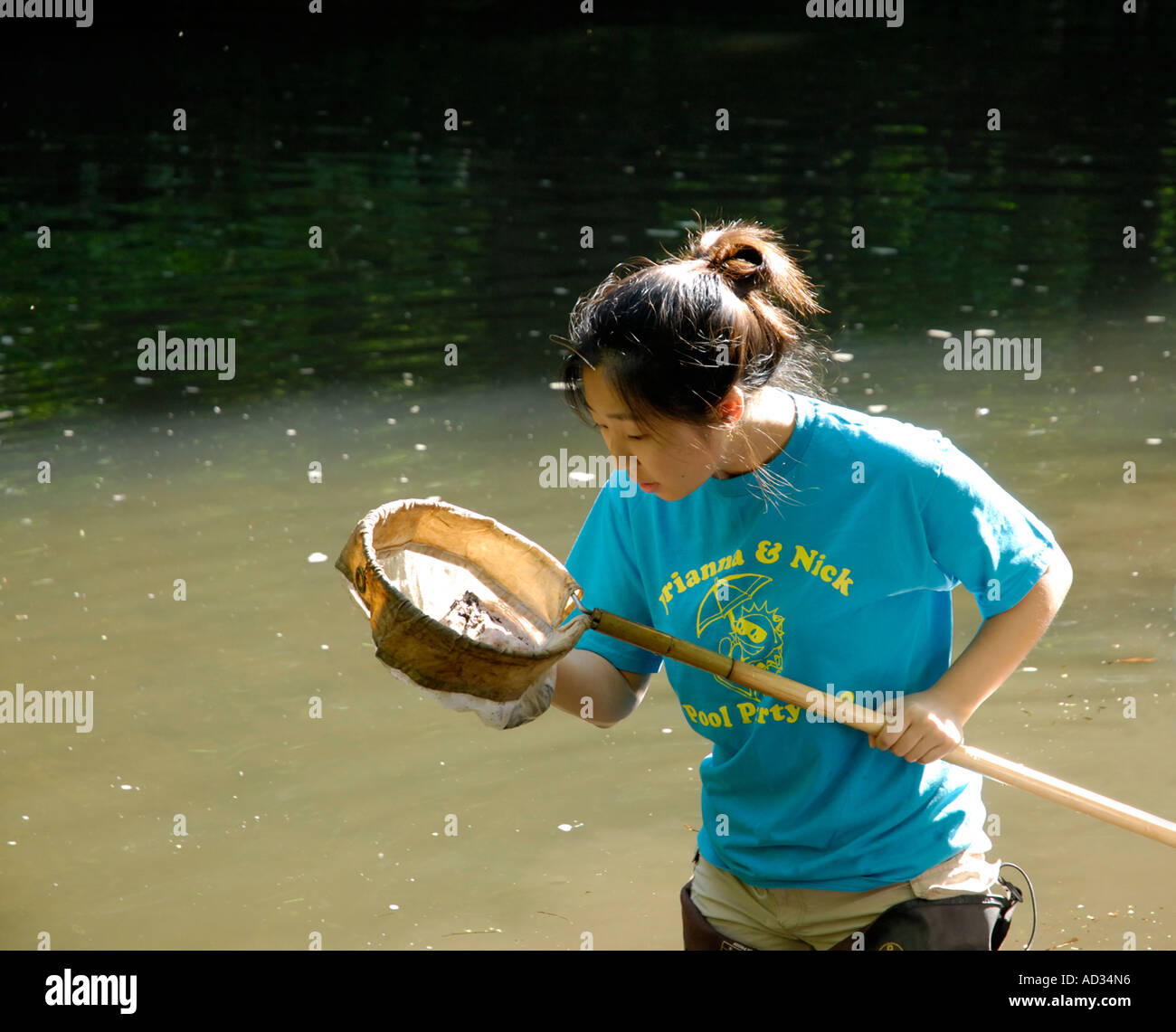 Teenage Asian-American girl using net sampling river water for fish and invertebrate biological indicators of water quality Stock Photo