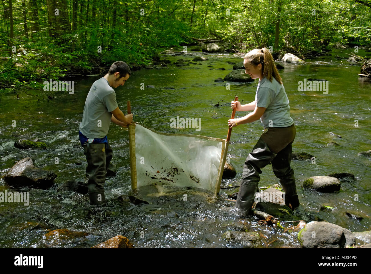 Teenage boy and girl using 'kick-seine' net to sample stream for macroinvertebrate indicators of water quality Stock Photo
