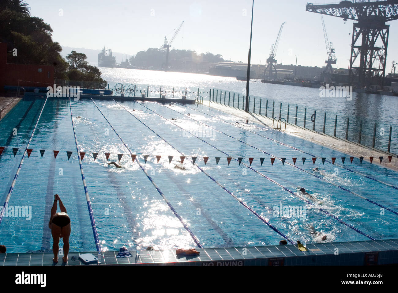 Andrew Boy Charlton pool, Sydney Stock Photo Alamy
