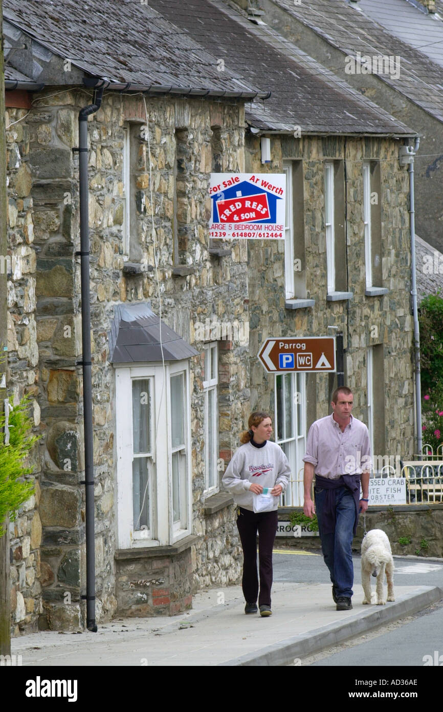 House for sale in terrace of stone built houses in Newport Stock Photo -  Alamy