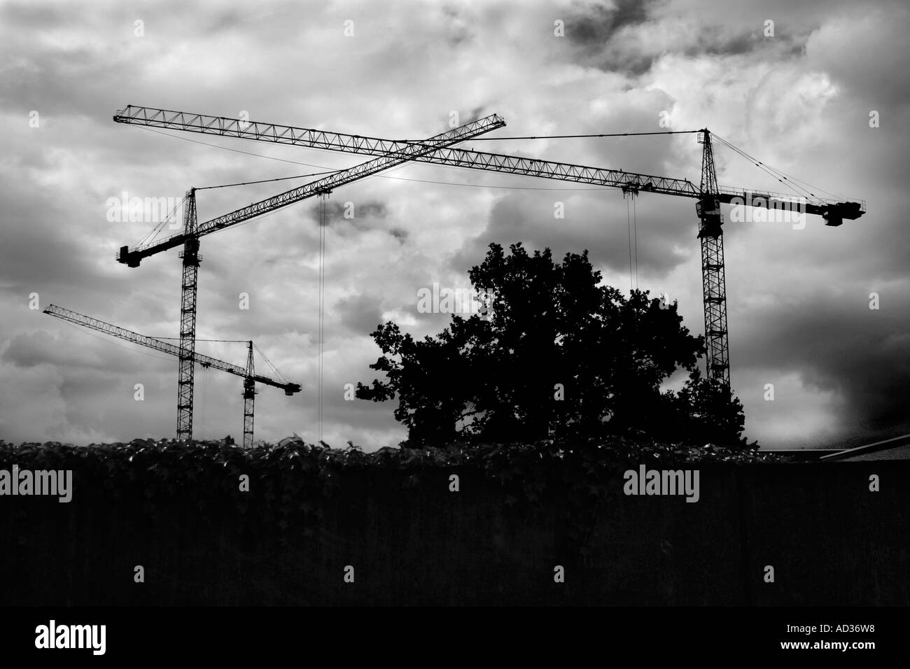 Cranes building Black and White Stock Photos & Images - Alamy