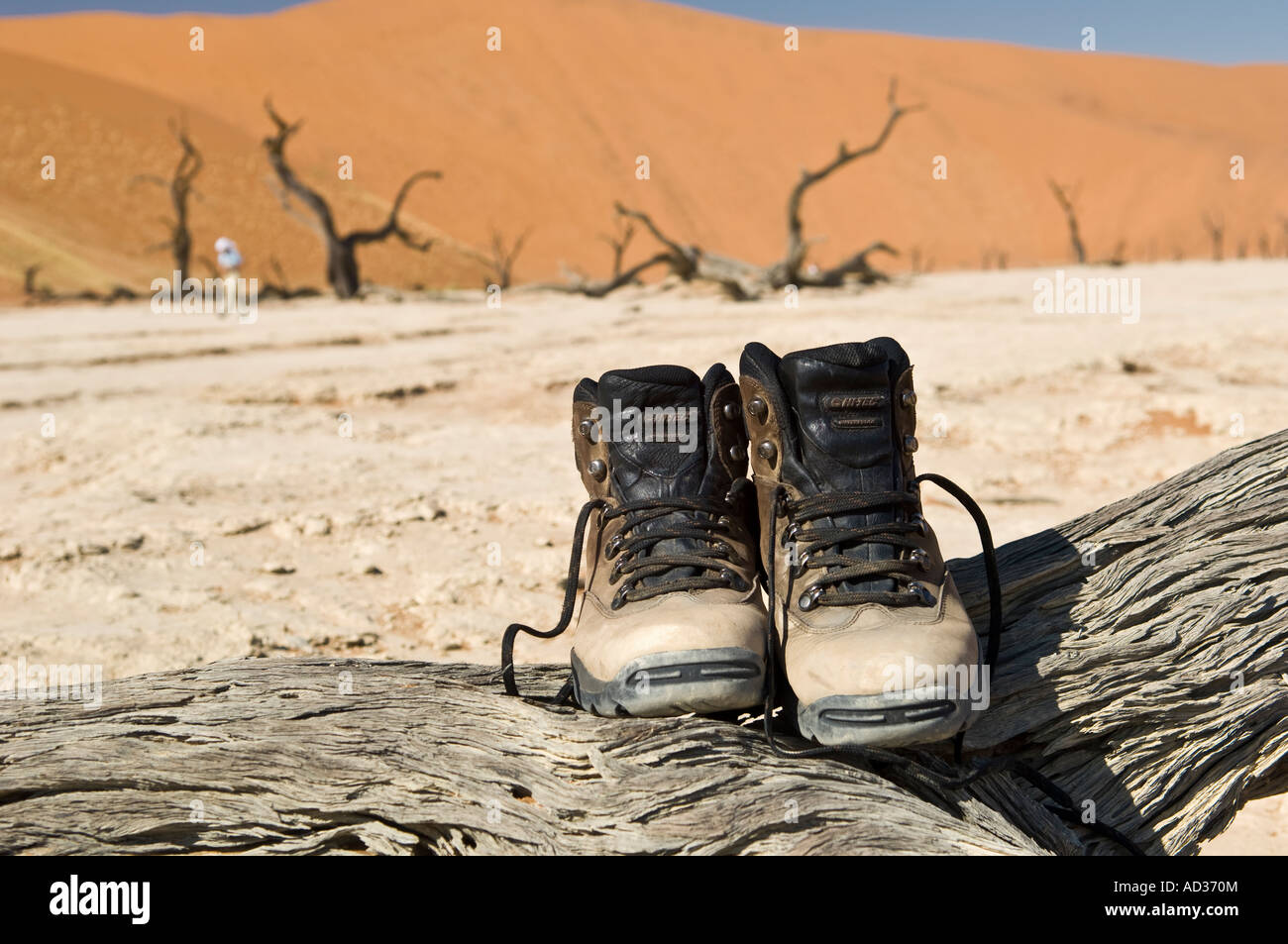 deadvlei Dunes and walking boots on a dead trees Namibia Stock Photo - Alamy