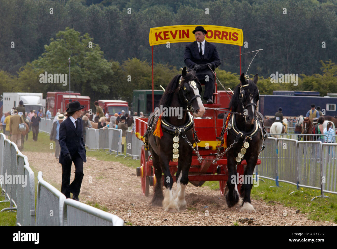 Drayhorse and Dray at Bakewell Show 2007  in Derbyshire 'Great Britain' Stock Photo