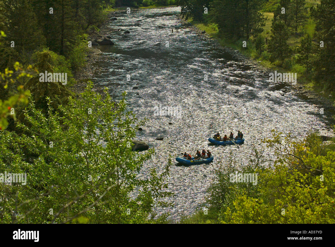 Tourists white water rafting on a river in Colorado, USA. Stock Photo