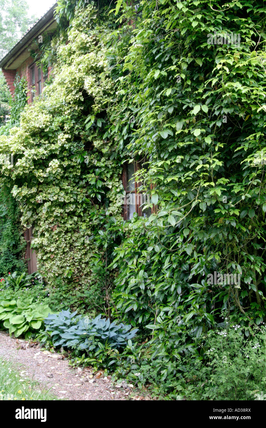 There s a house here somewhere for humans and many nesting birds Holbrook Garden Stock Photo