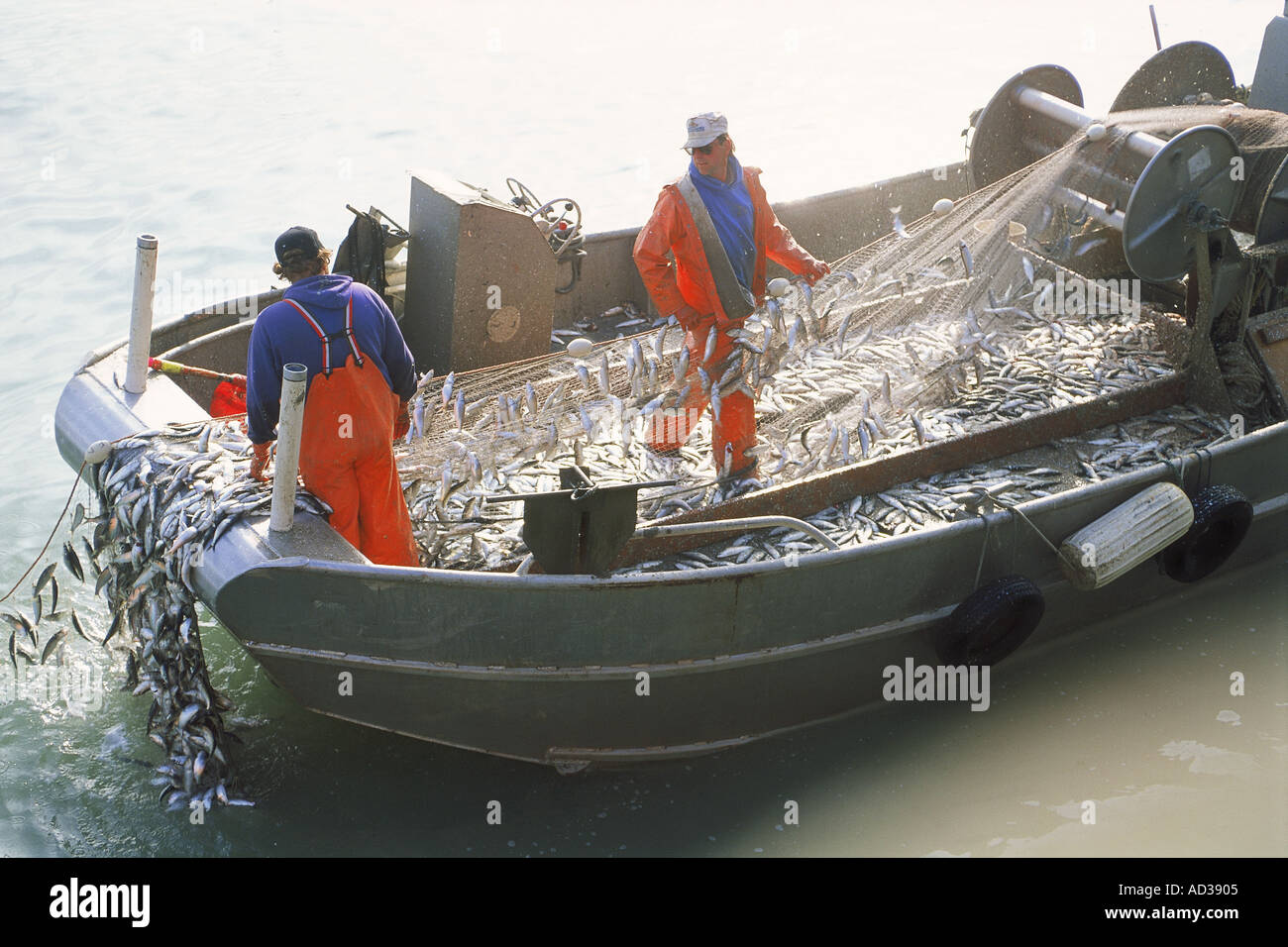 Herring boat hires stock photography and images Alamy