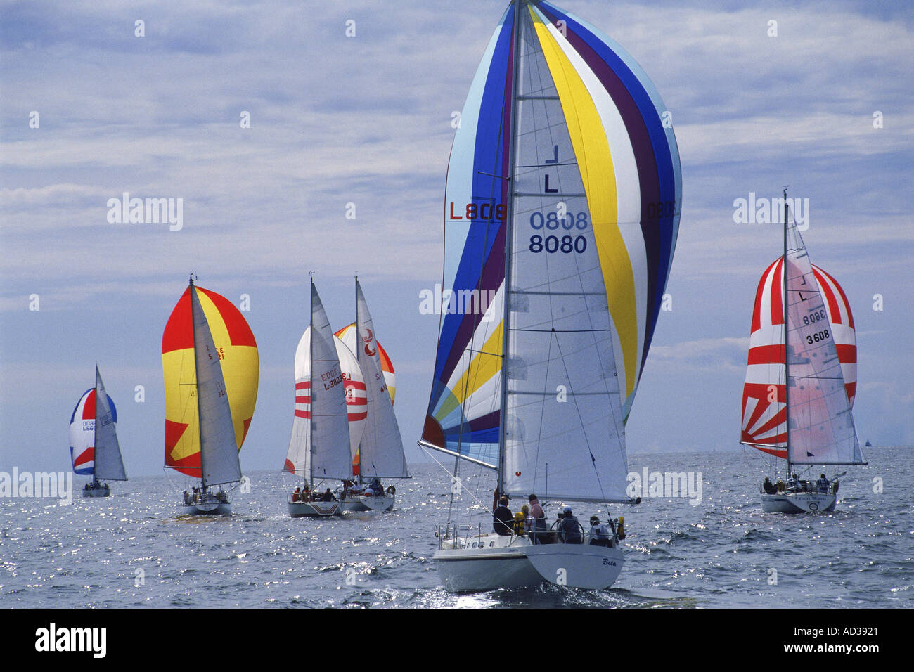 Colorful sails pushing boats across Baltic Sea during Gotland Round Race off Sweden Stock Photo