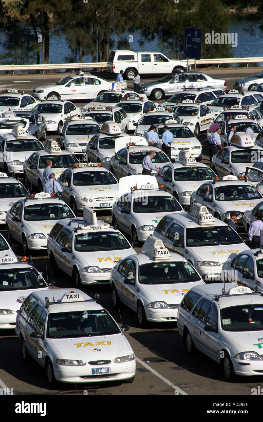 Rows of taxis Sydney International Airport Australia Stock Photo Alamy