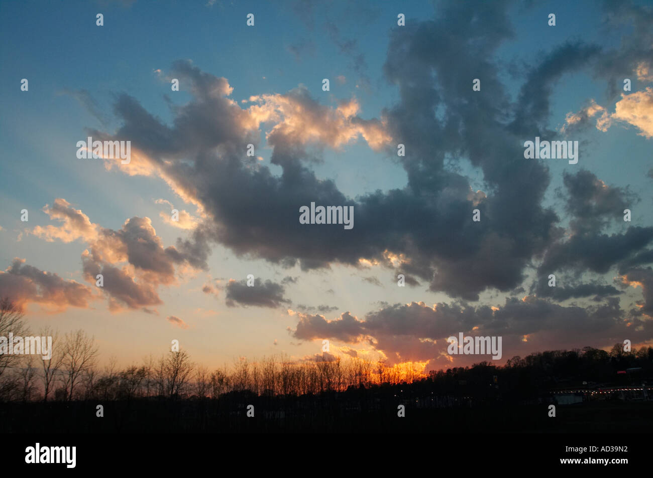 A sunset with silhouettes of trees Stock Photo - Alamy