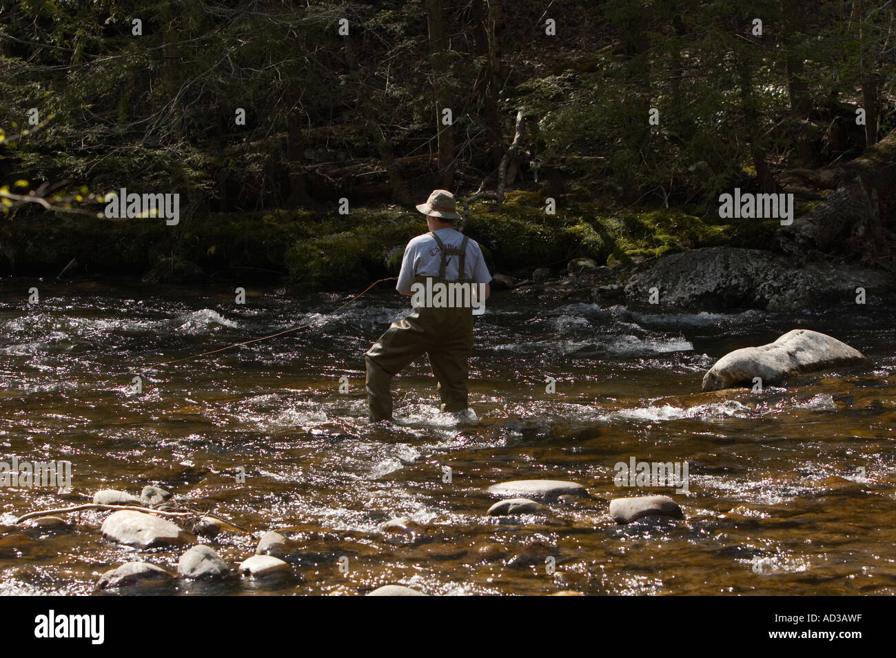 A man fly fishing in a river in Smoky Mountains National Park