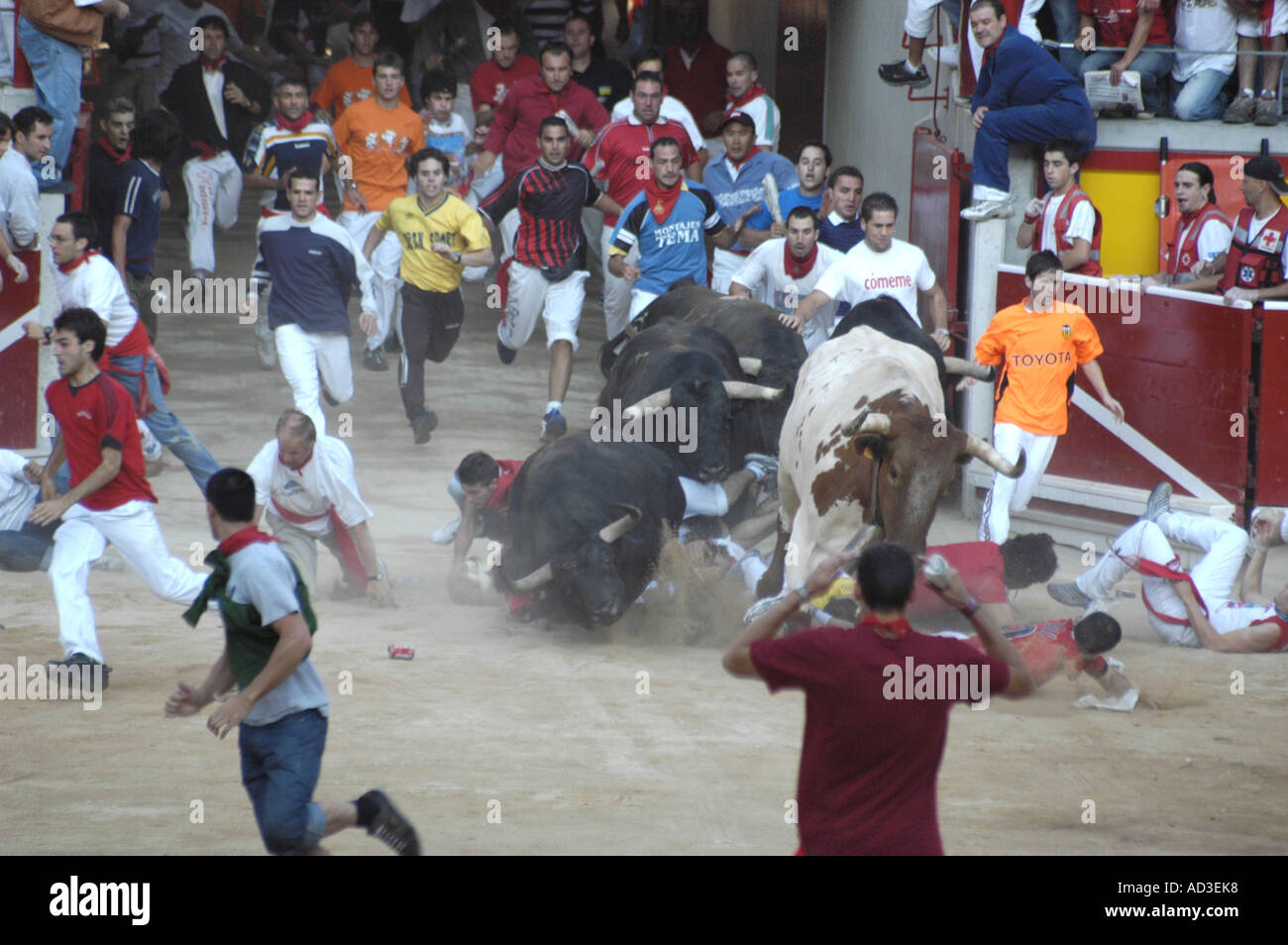 The bulls charge over a group of fallen runners in the entrance to Pamplona's bullring Stock Photo