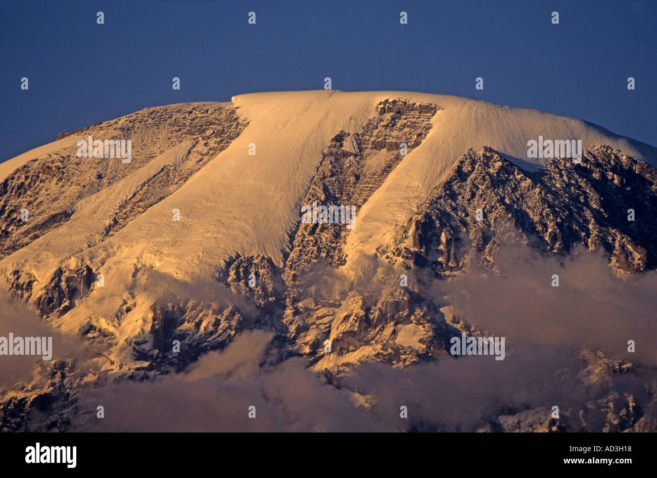 Kilimanjaro, 5895m, Southern Icefield and Decken glacier right at sunset view from Moshi Tanzania Stock Photo