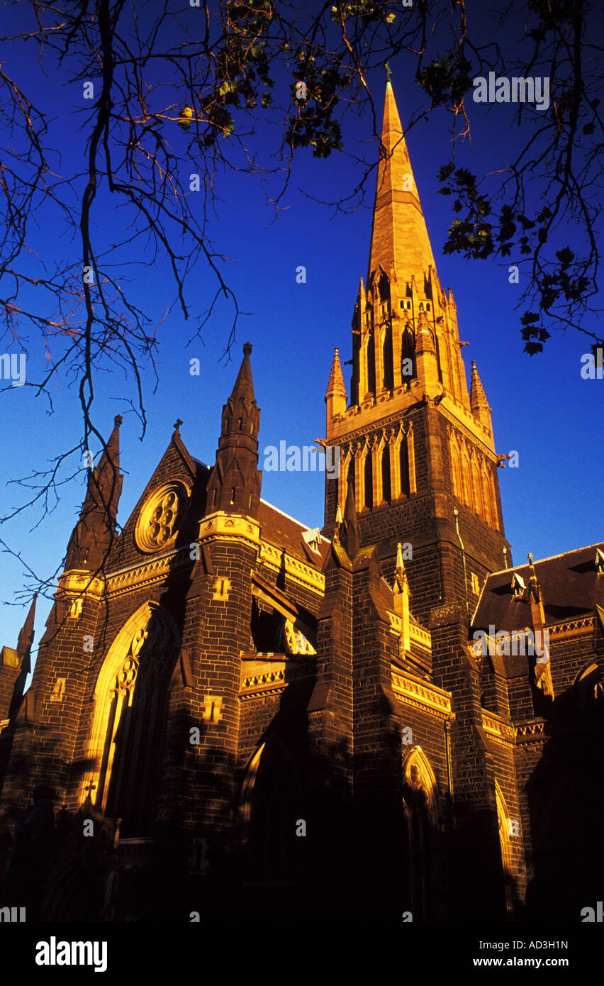 st patricks cathedral, melbourne, victoria, australia Stock Photo
