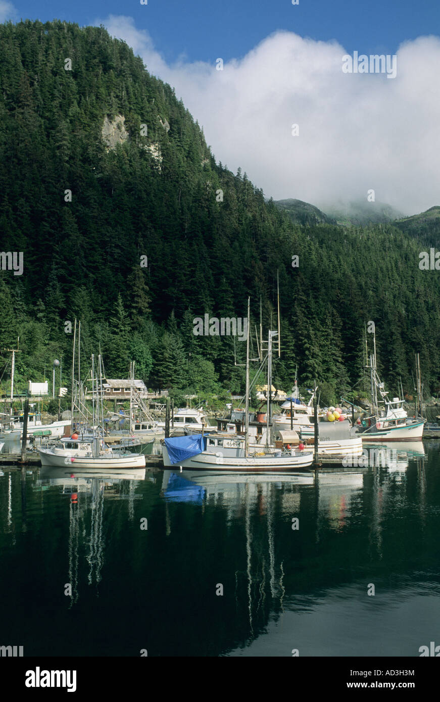 Elfin Cove Village, Small fishing town, Chichagof Island, Southeast Alaska Stock Photo Alamy