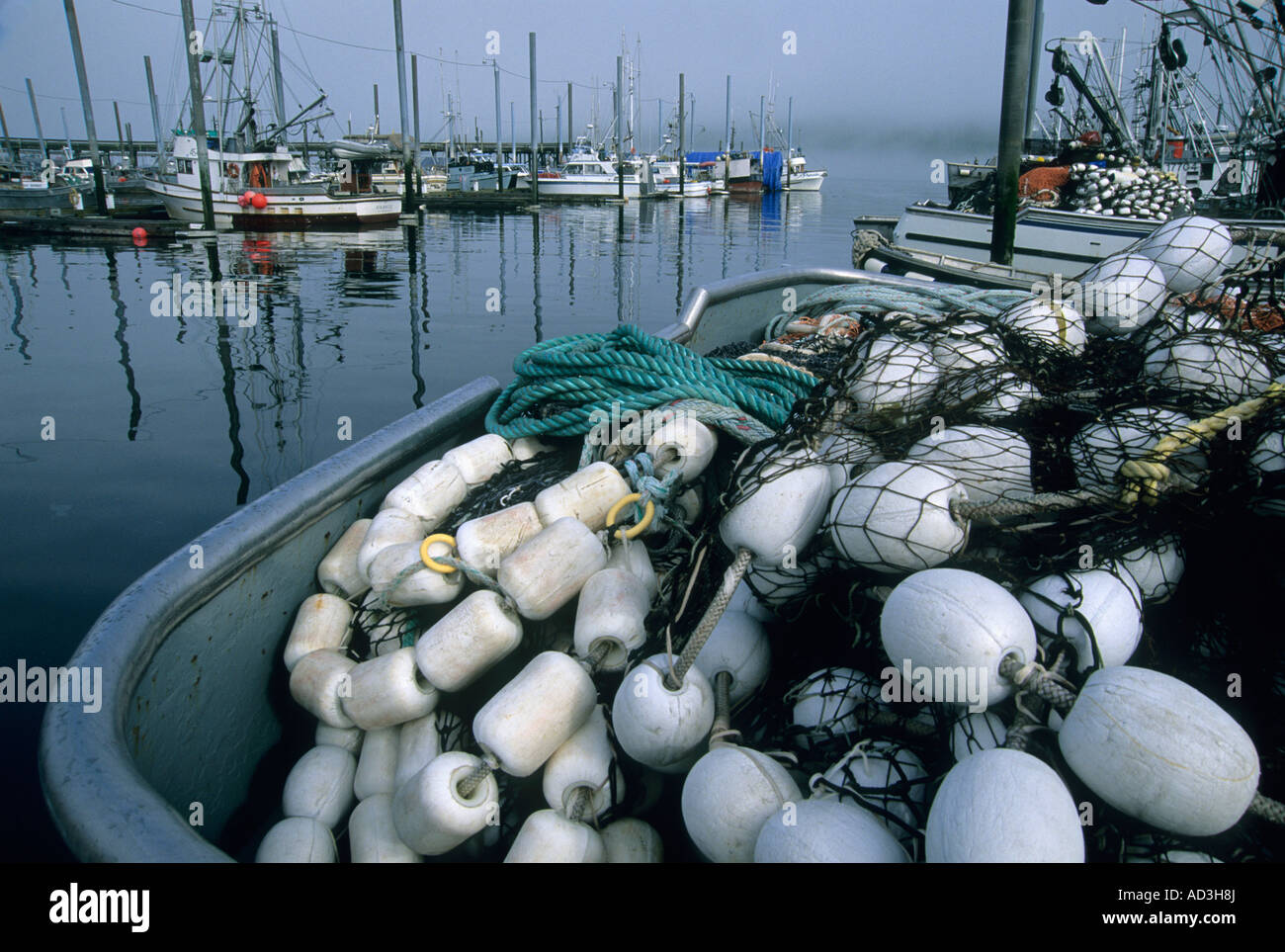 Alaskan coves hi-res stock photography and images - Alamy