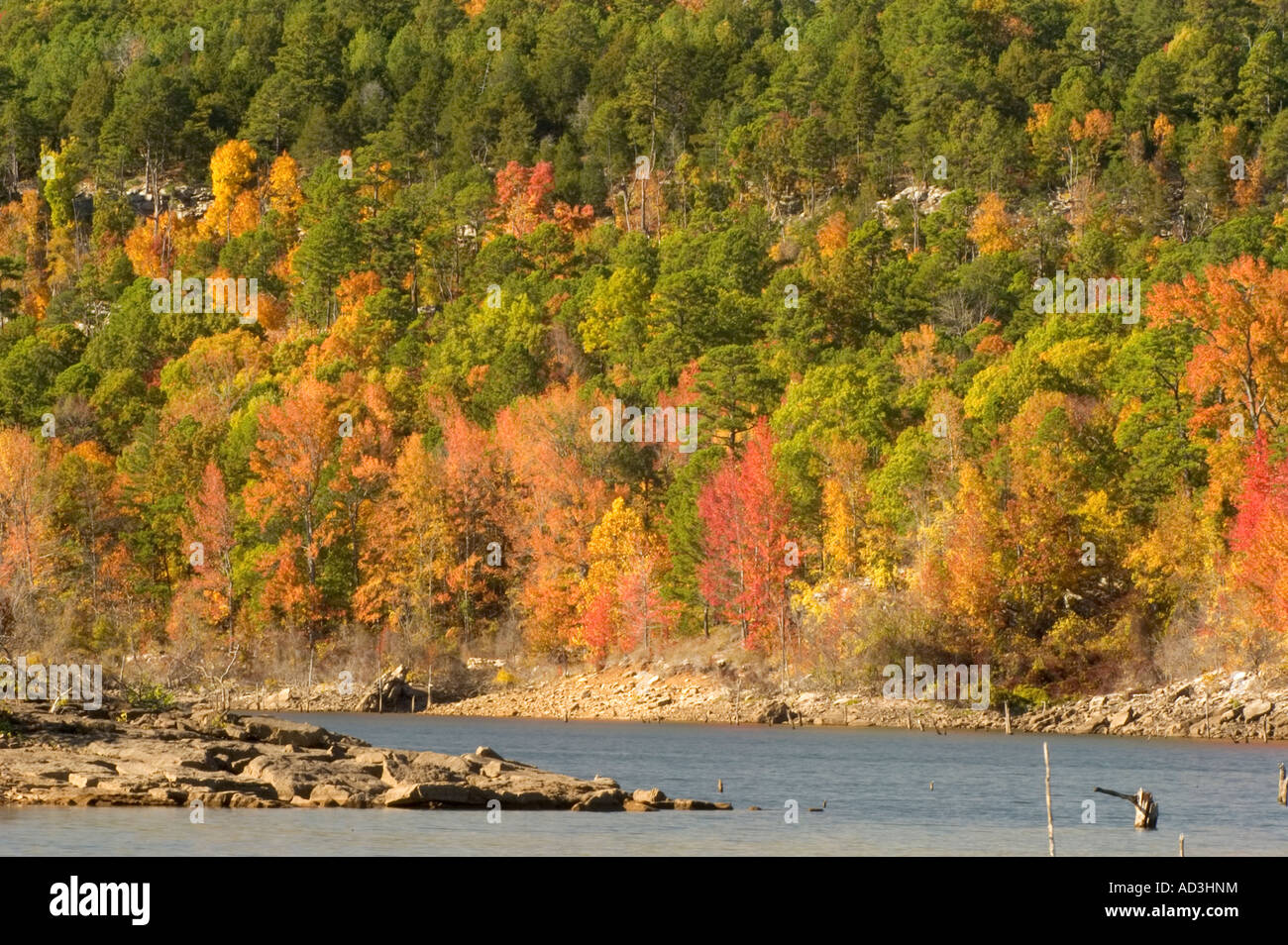 The October autumn colors of Greers Ferry Lake in the Ozark Mountains of Arkansas Stock Photo