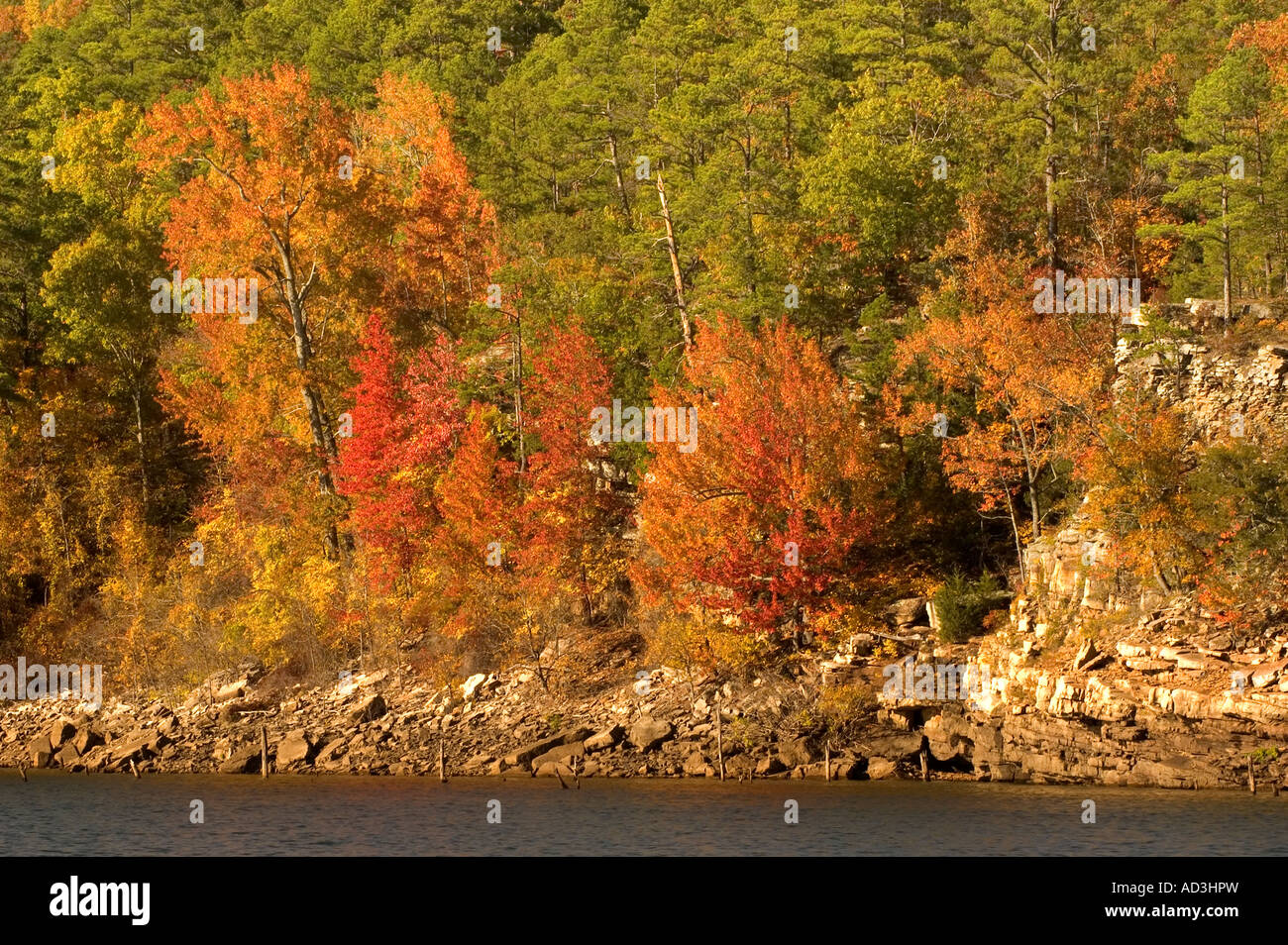 The October autumn colors of Greers Ferry Lake in the Ozark Mountains of Arkansas Stock Photo