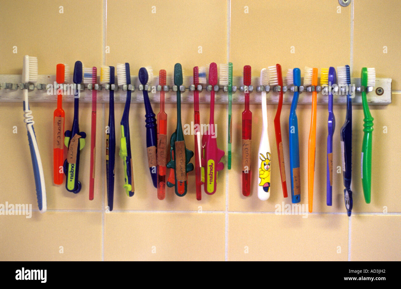 Toothbrushes in a day care center Stock Photo
