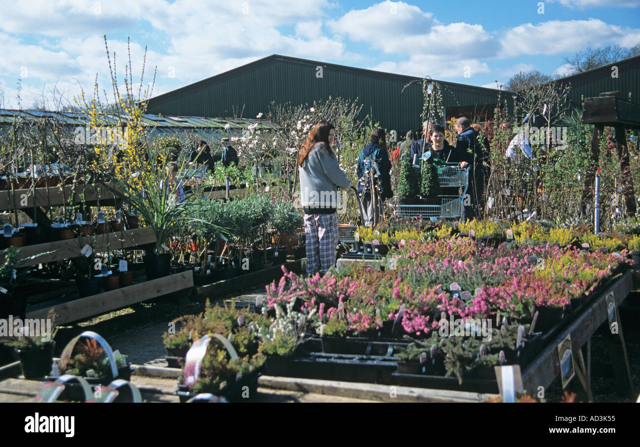 Garden centre trolleys hi-res stock photography and images - Alamy