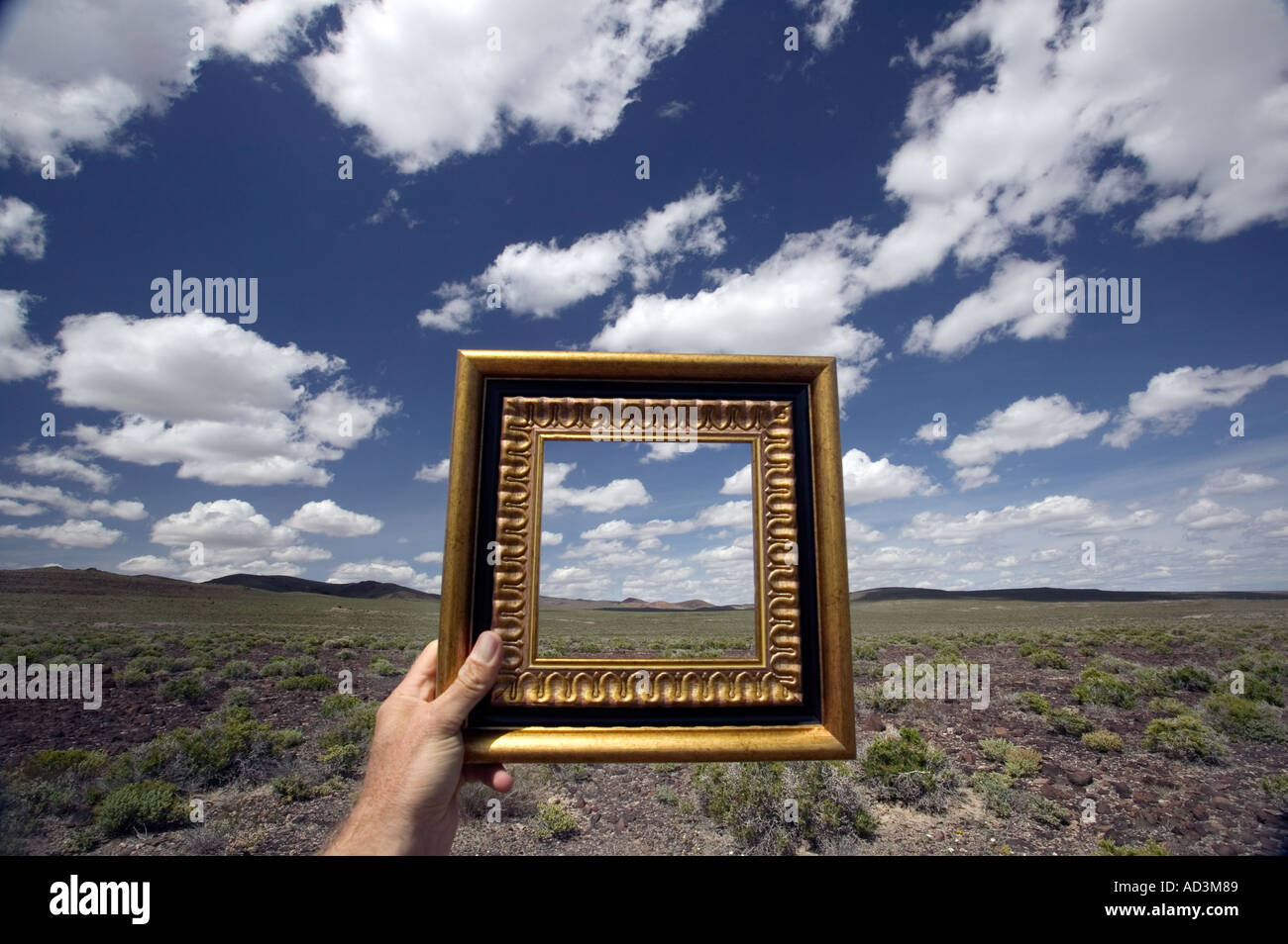 Hand Holding Picture Frame Stock Photo Alamy