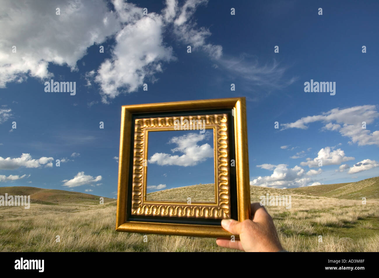 Hand Holding Picture Frame Stock Photo Alamy