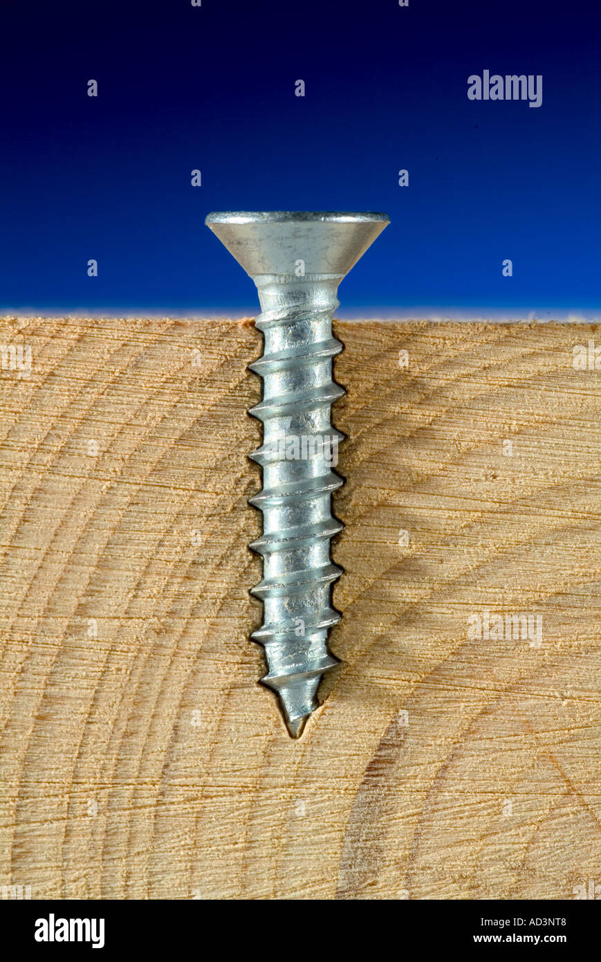 Wood Screw Cross Section Showing Threads Stock Photo Alamy