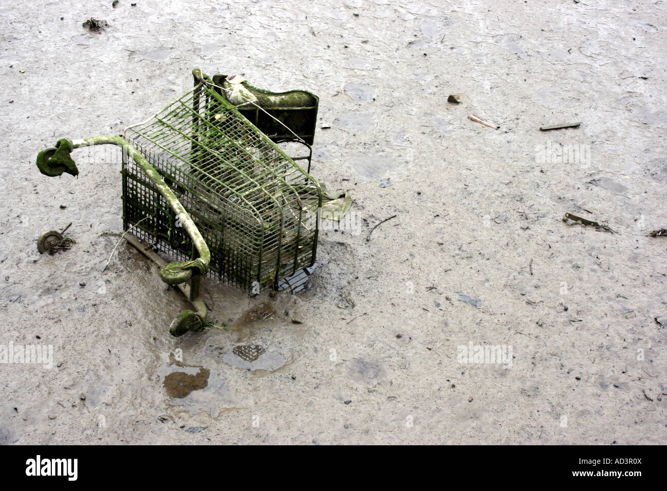 Shopping trolley lying in the mud in the River Teifi in Cardigan, Wales Stock Photo