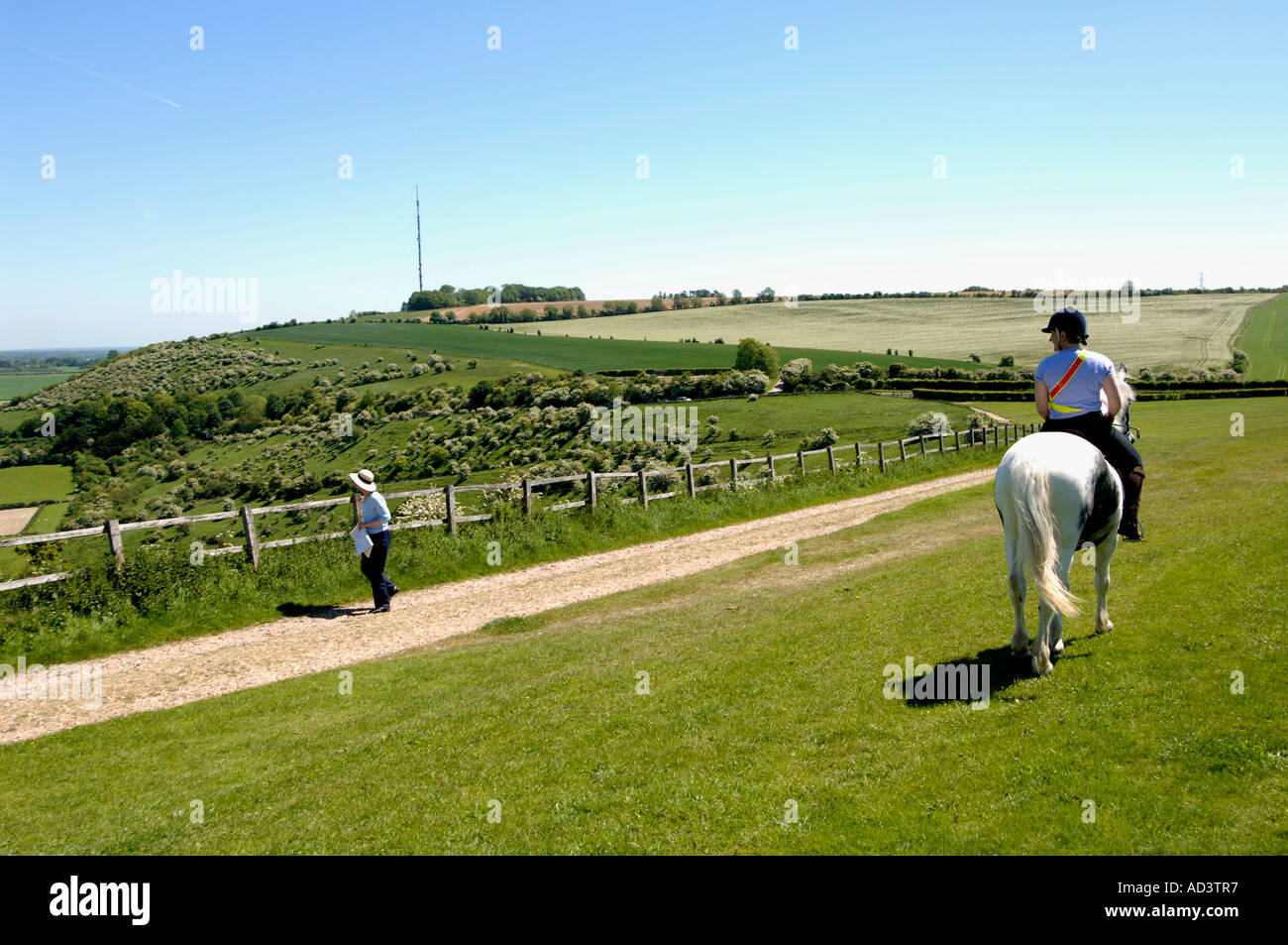Walker on the famous rabbit warren site Watership Down in Hampshire