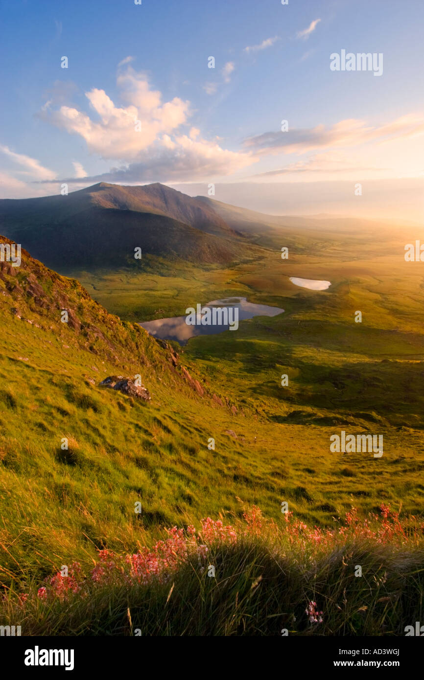 Connor Pass, Dingle Peninsula, County Kerry, Ireland - View towards Mount Brandon and Owenmore Valley at dawn. Stock Photo