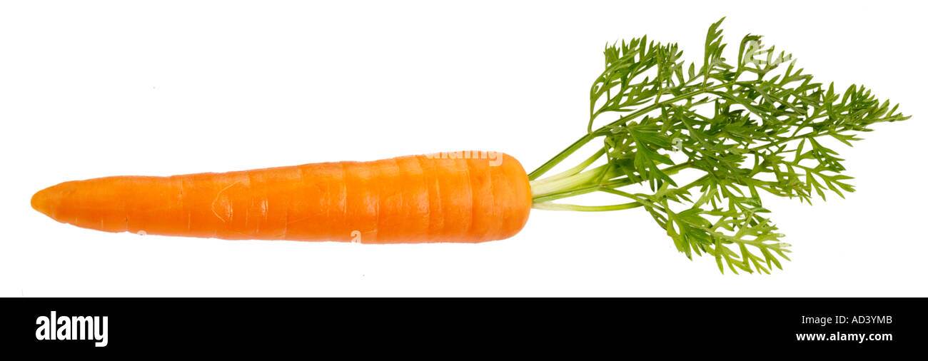 SINGLE CARROT CUT OUT Stock Photo - Alamy