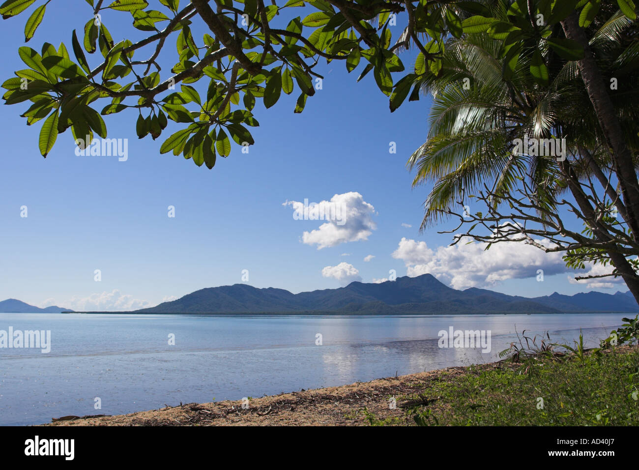 Hinchinbrook Island from Cardwell Queensland Australia Stock Photo Alamy