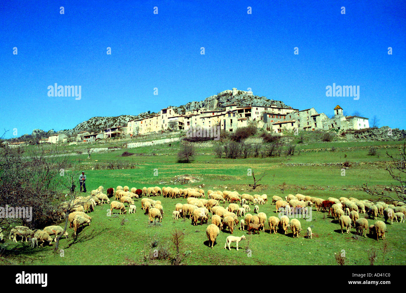 Shepherd and his flock of sheep Southern France 1983 Stock Photo