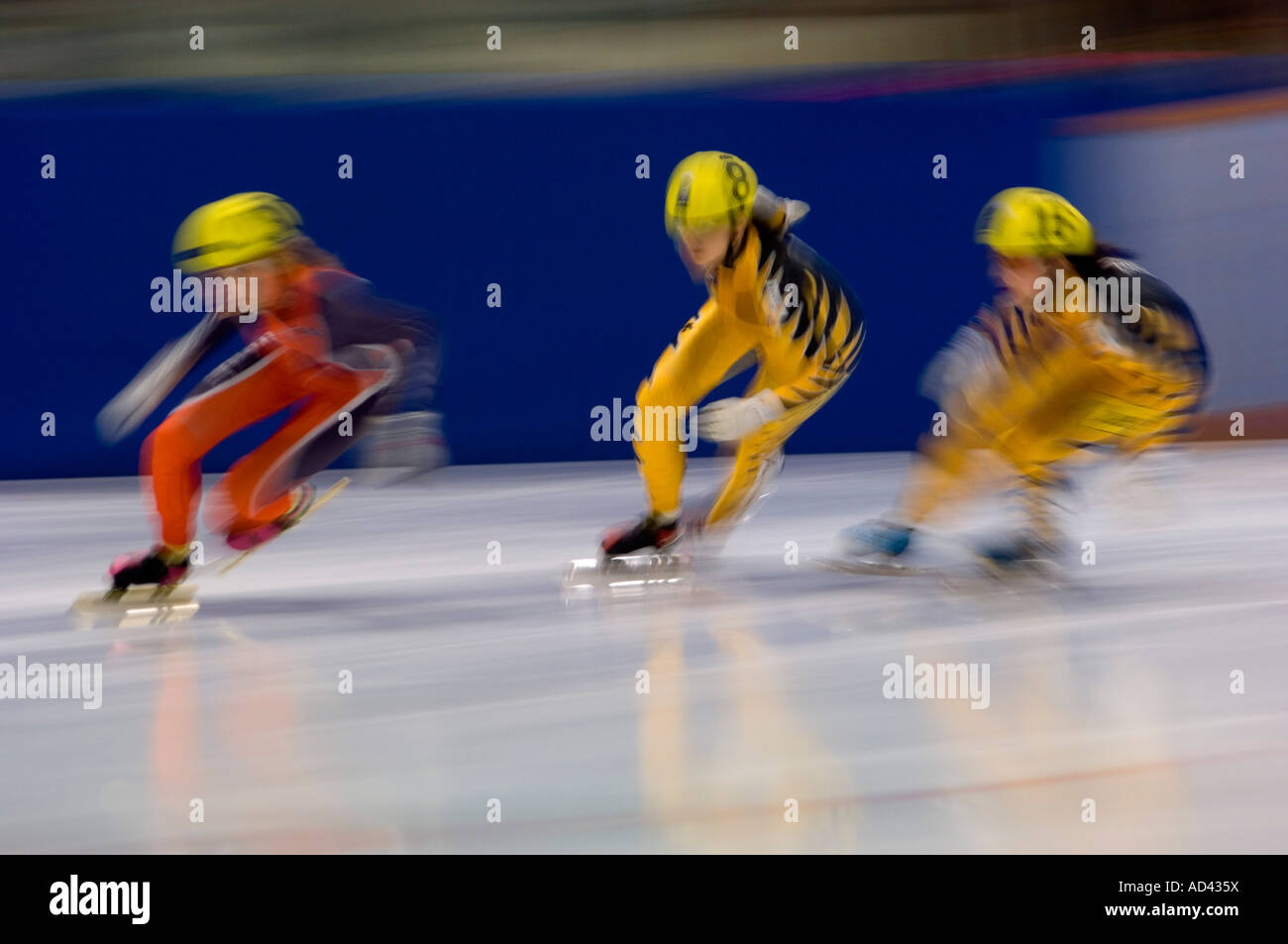 Canadian Short track speed skating competition 500 m sprint Greater Sudbury Ontario Stock Photo