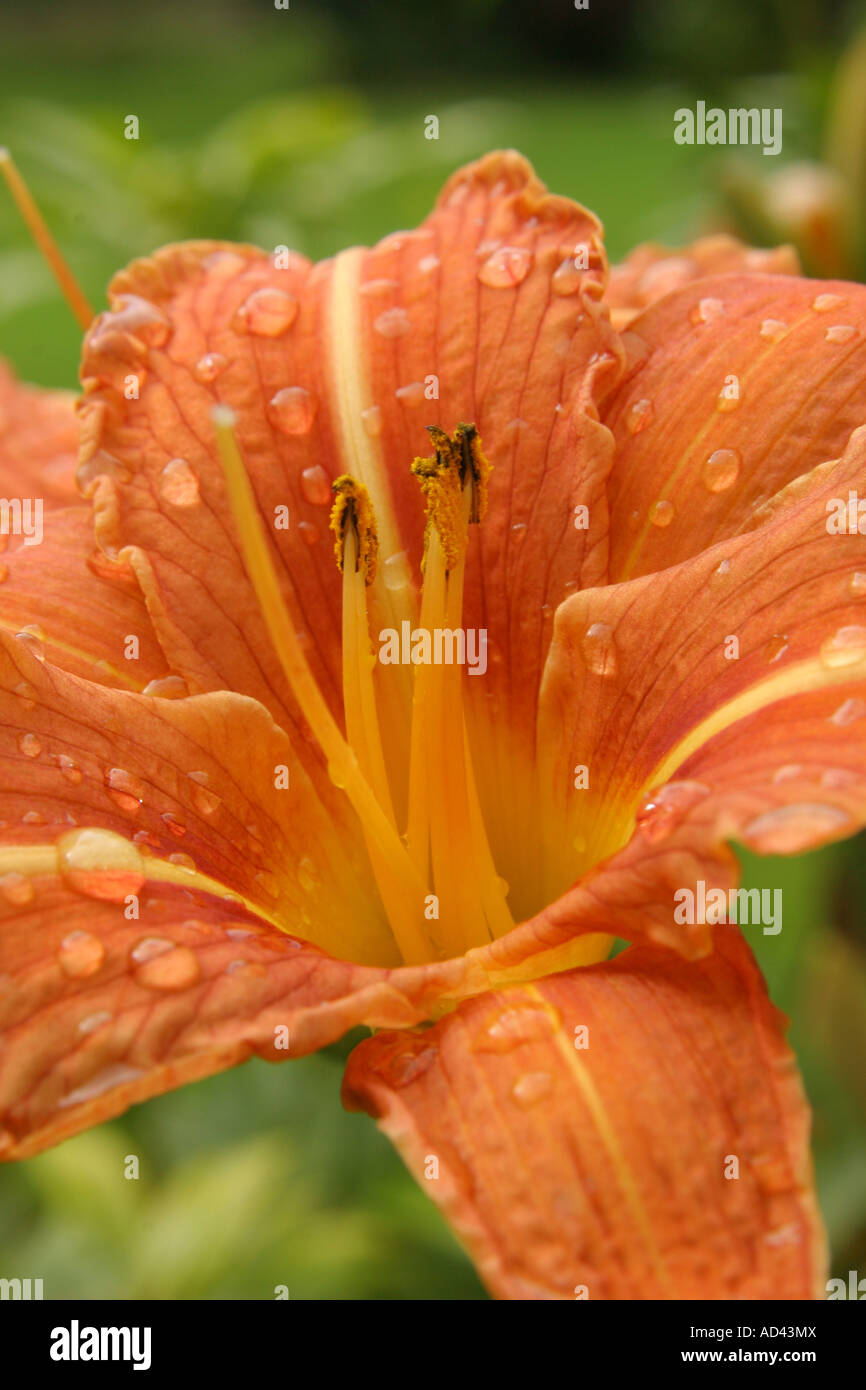Brief shower hires stock photography and images Alamy