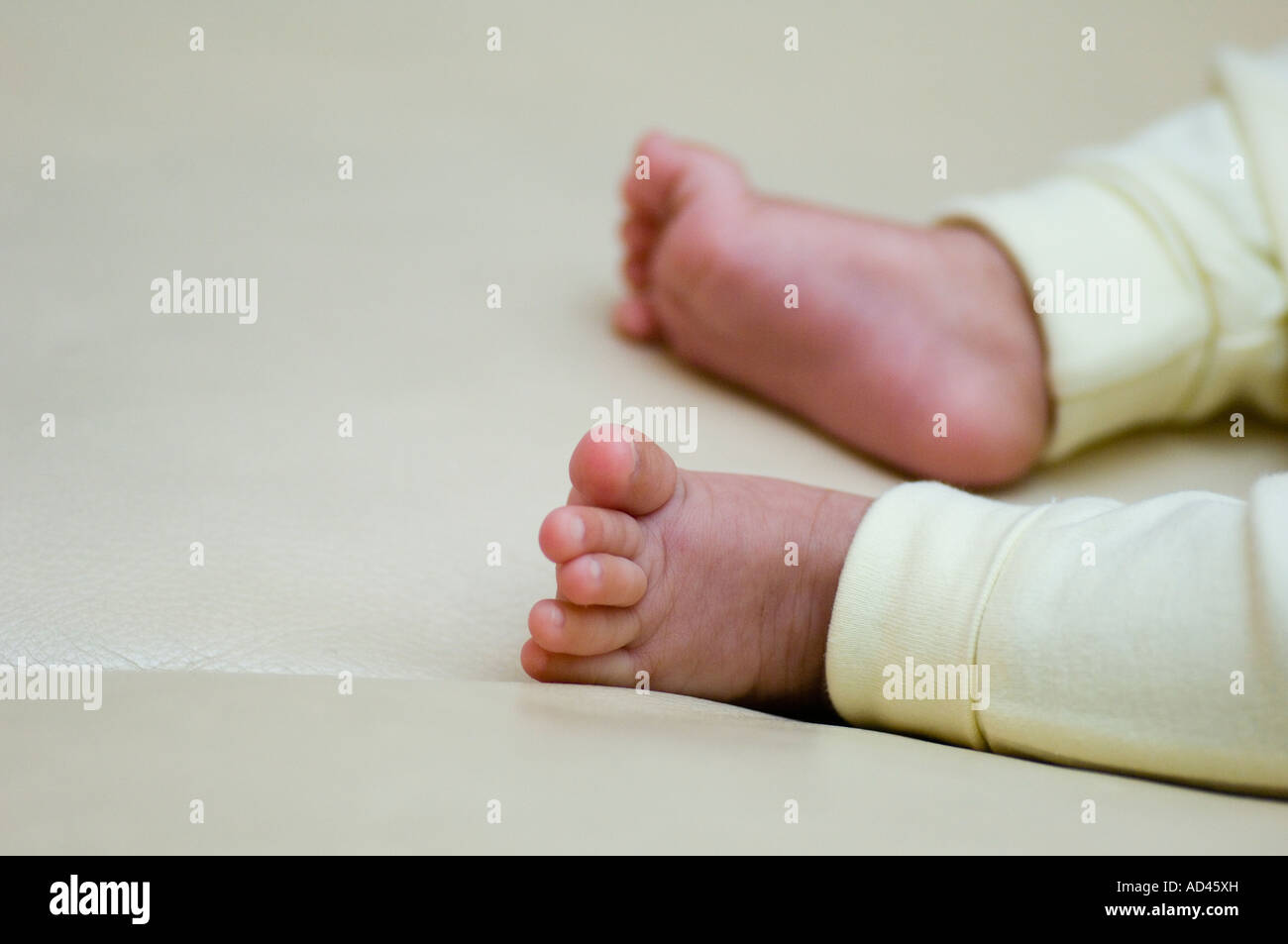 Newborn baby boy feet Stock Photo Alamy