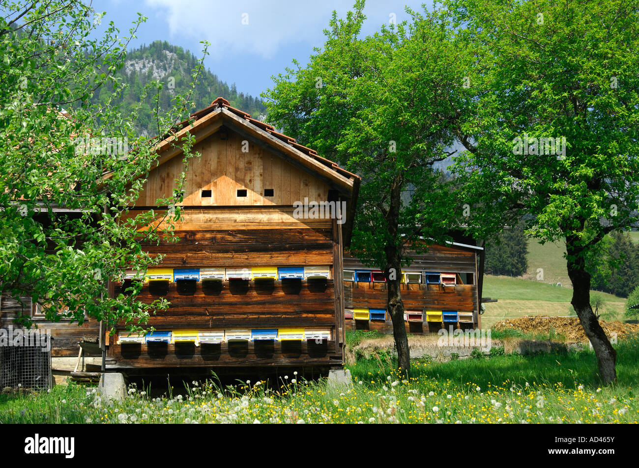 Bee house, beeyard, Simmental, Switzerland Stock Photo