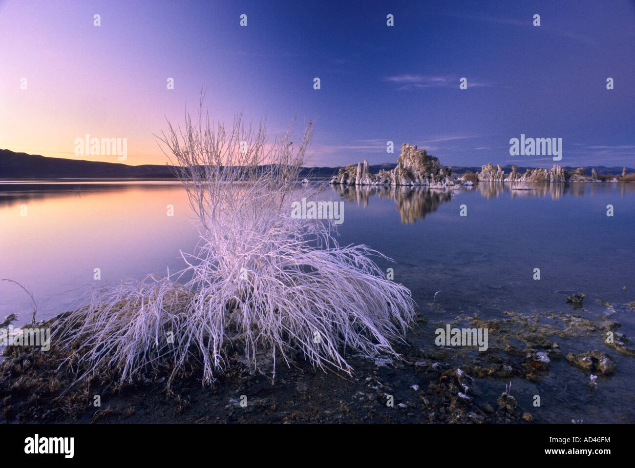 Mono Lake, California, United States of America Stock Photo