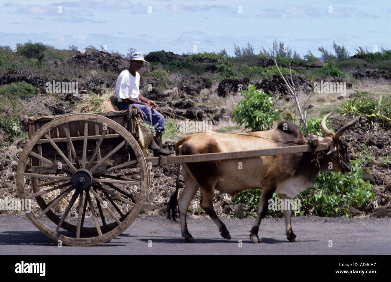 Primitive Transportation High Resolution Stock Photography and Images