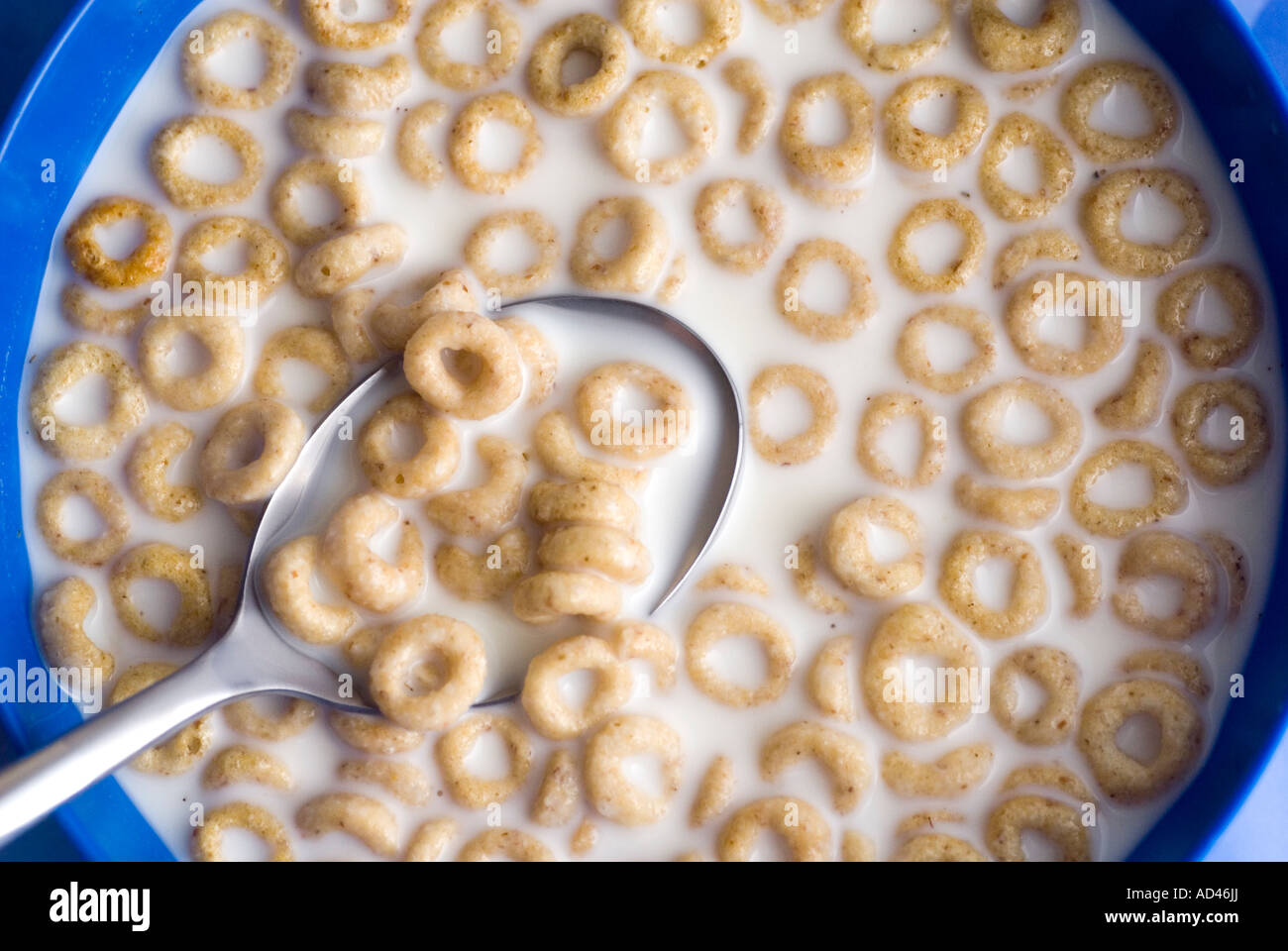 Spoon in cereal and milk Stock Photo Alamy