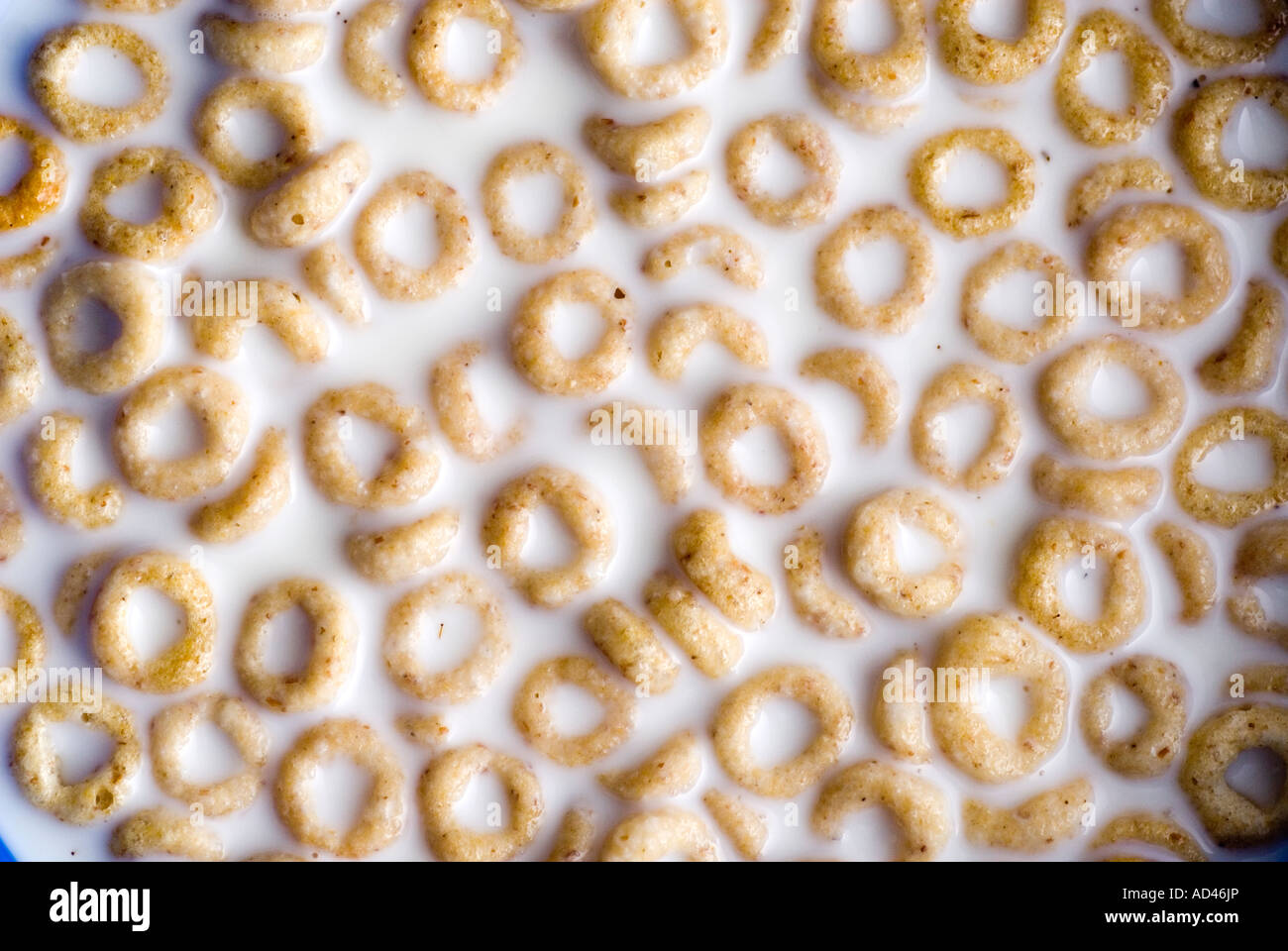 Cheerios cereal in milk Stock Photo Alamy
