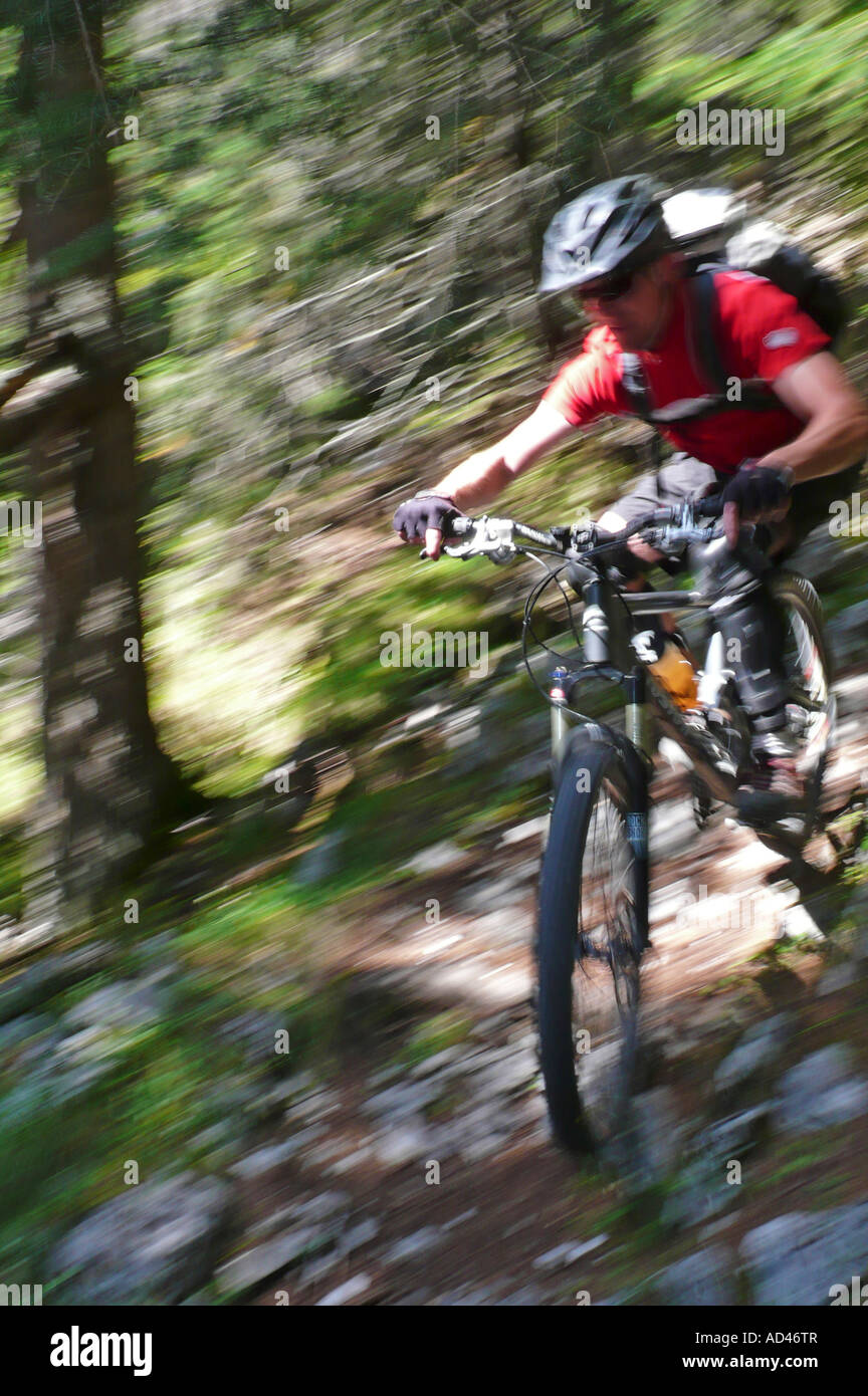 Downhill mountain biker in the forest Stock Photo