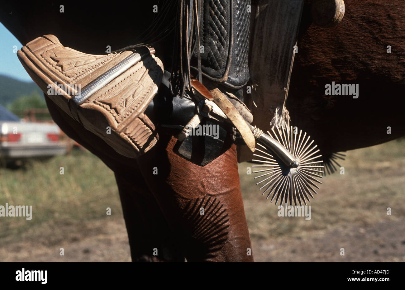 Chile cowboy detail horse ride spurs huaso Stock Photo Alamy