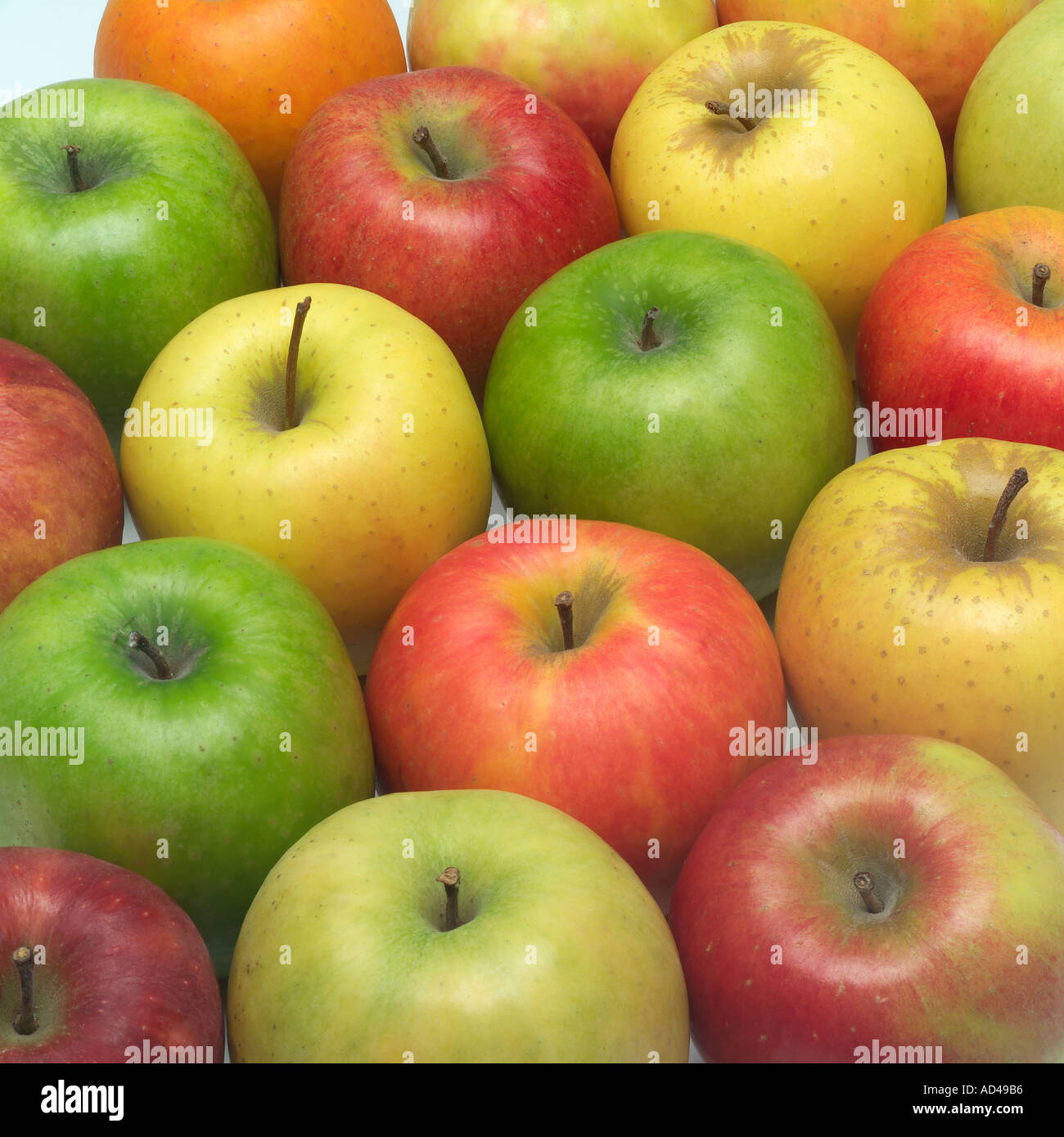 Fresh Organic Green Red Apple Varieties, Granny Smith, Fuji, Gal Stock  Image - Image of food, delicious: 113228363