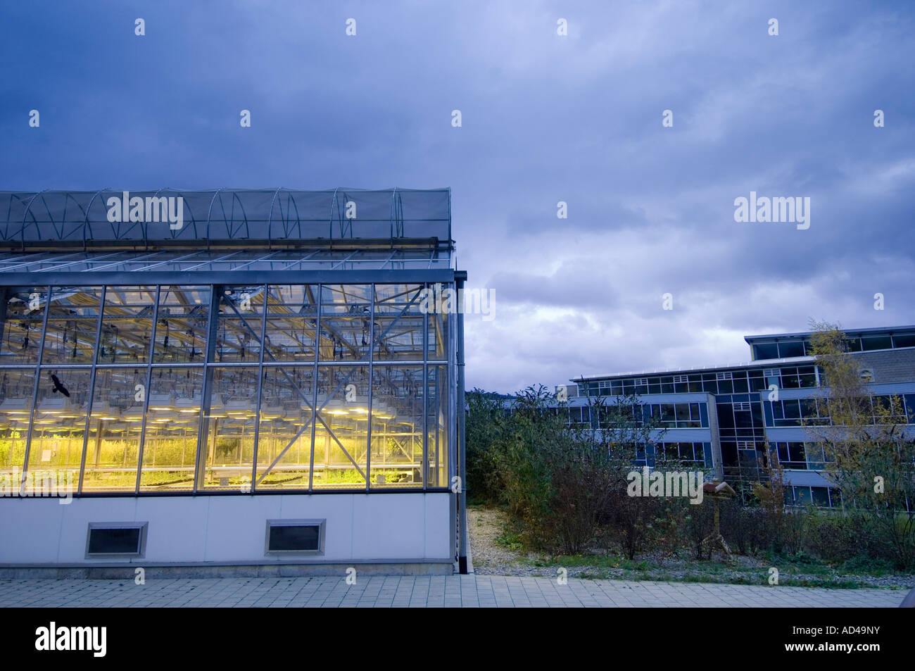 Green house, Max Planck Institute for Chemical Ecology, Jena, Thuringia, Germany Stock Photo
