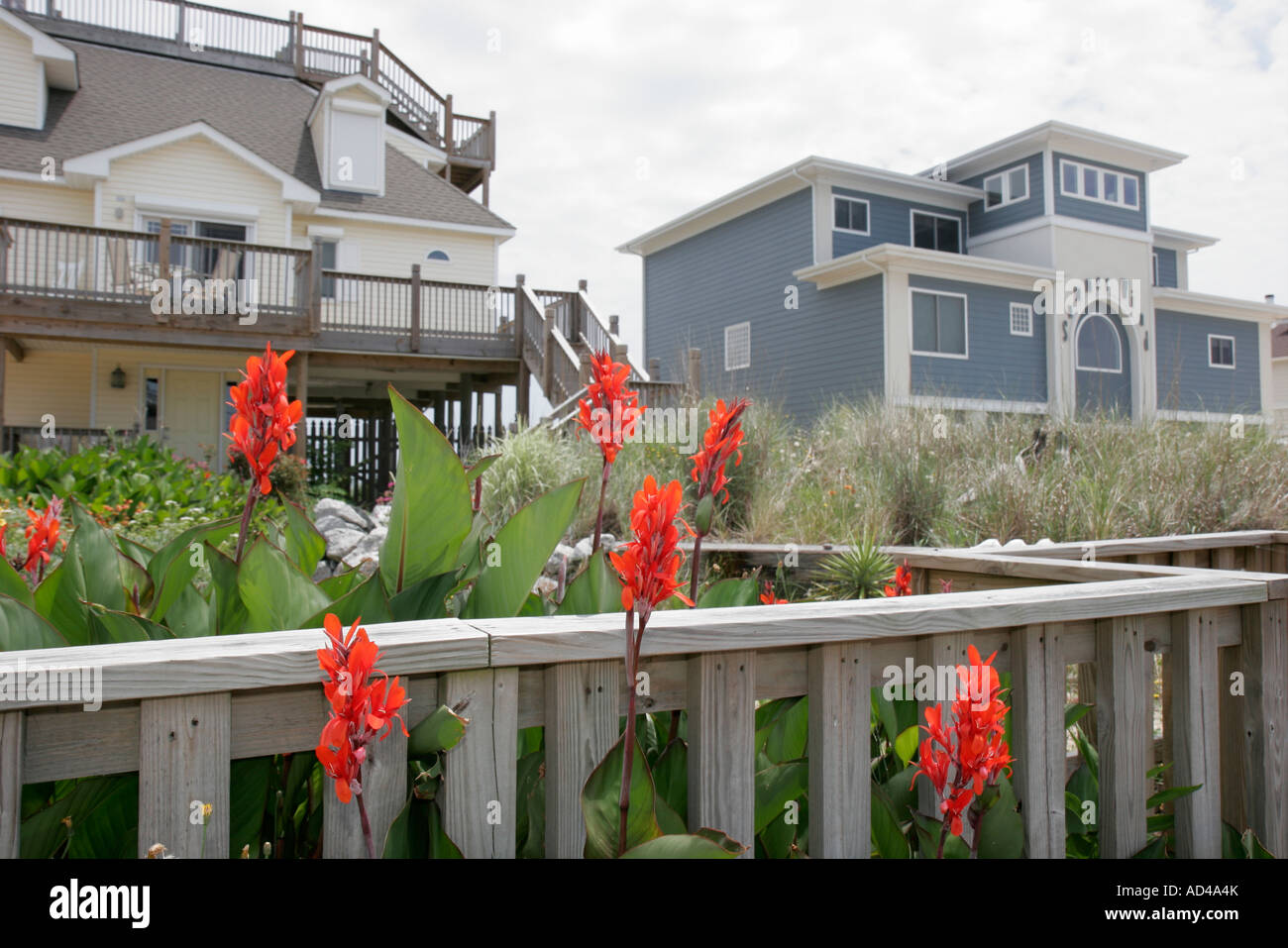 Virginia Beach Virginia Sandbridge Beach House Cottage Rental