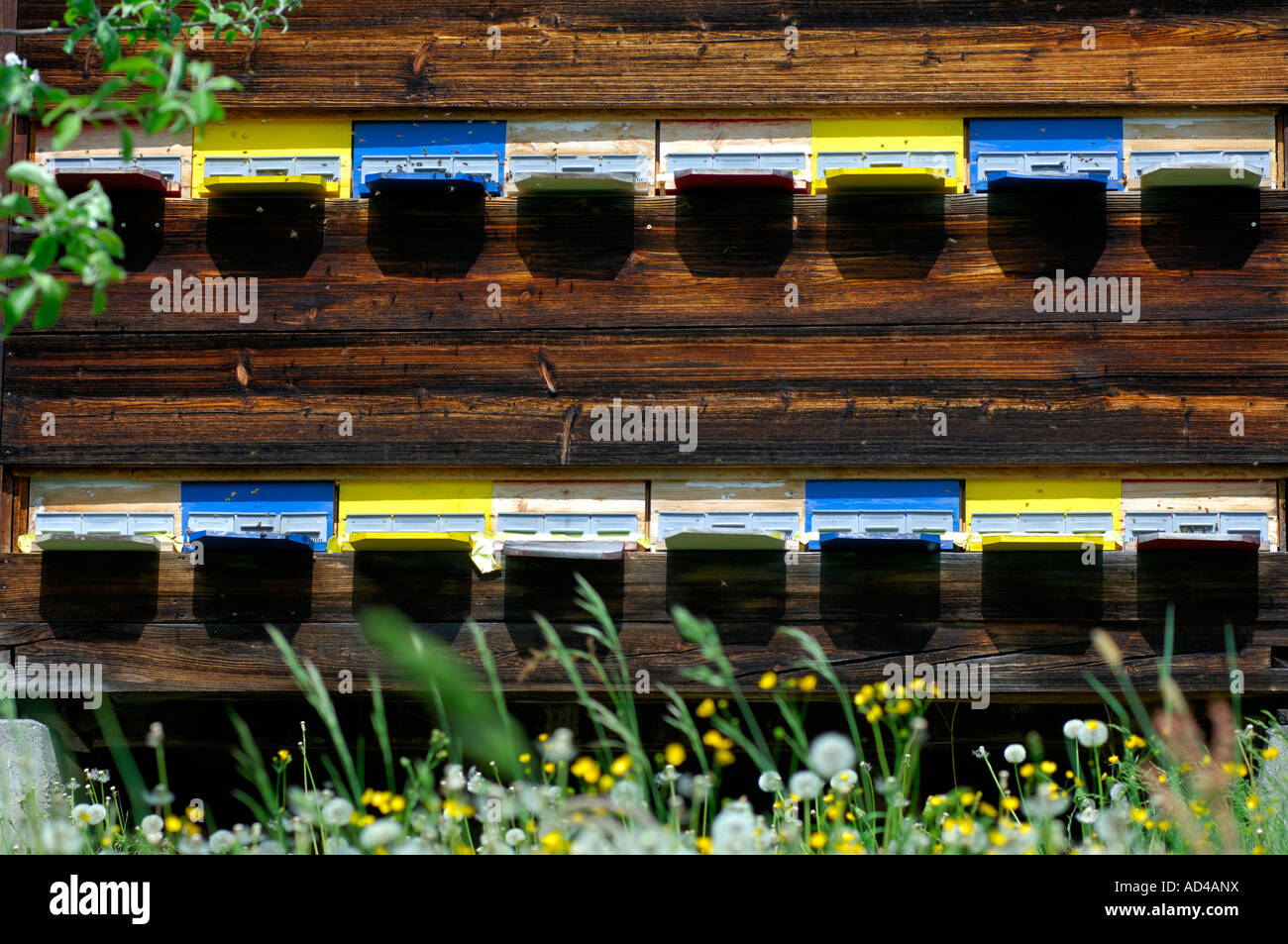Bee house, apiary, Simmental, Switzerland Stock Photo
