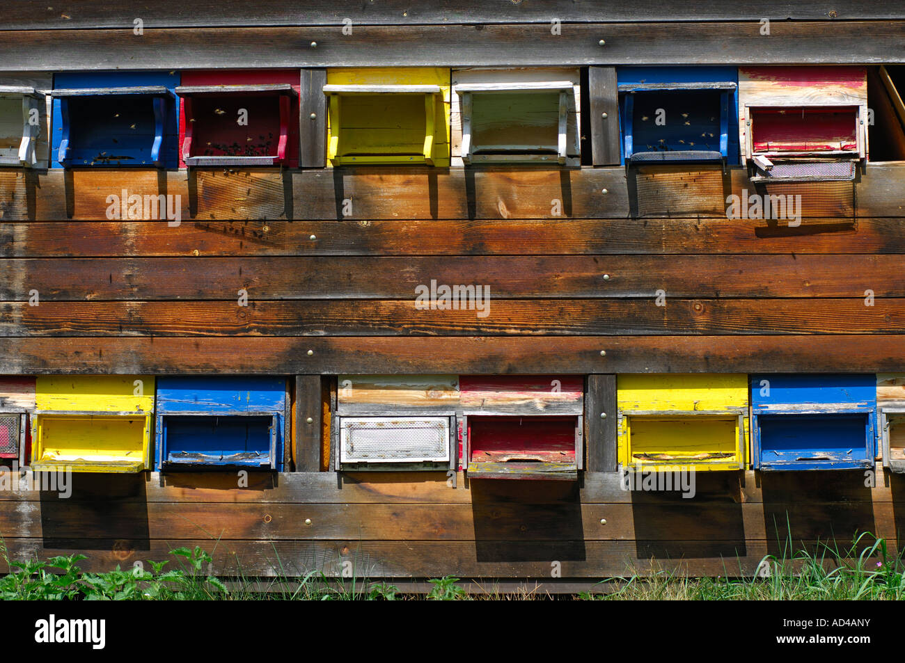 Colored landing boards, bee house, apiary, Simmental, Switzerland Stock Photo