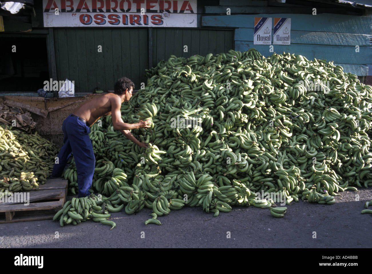HONDURAS BANANA WAREHOUSE SAN PEDRO Stock Photo Alamy